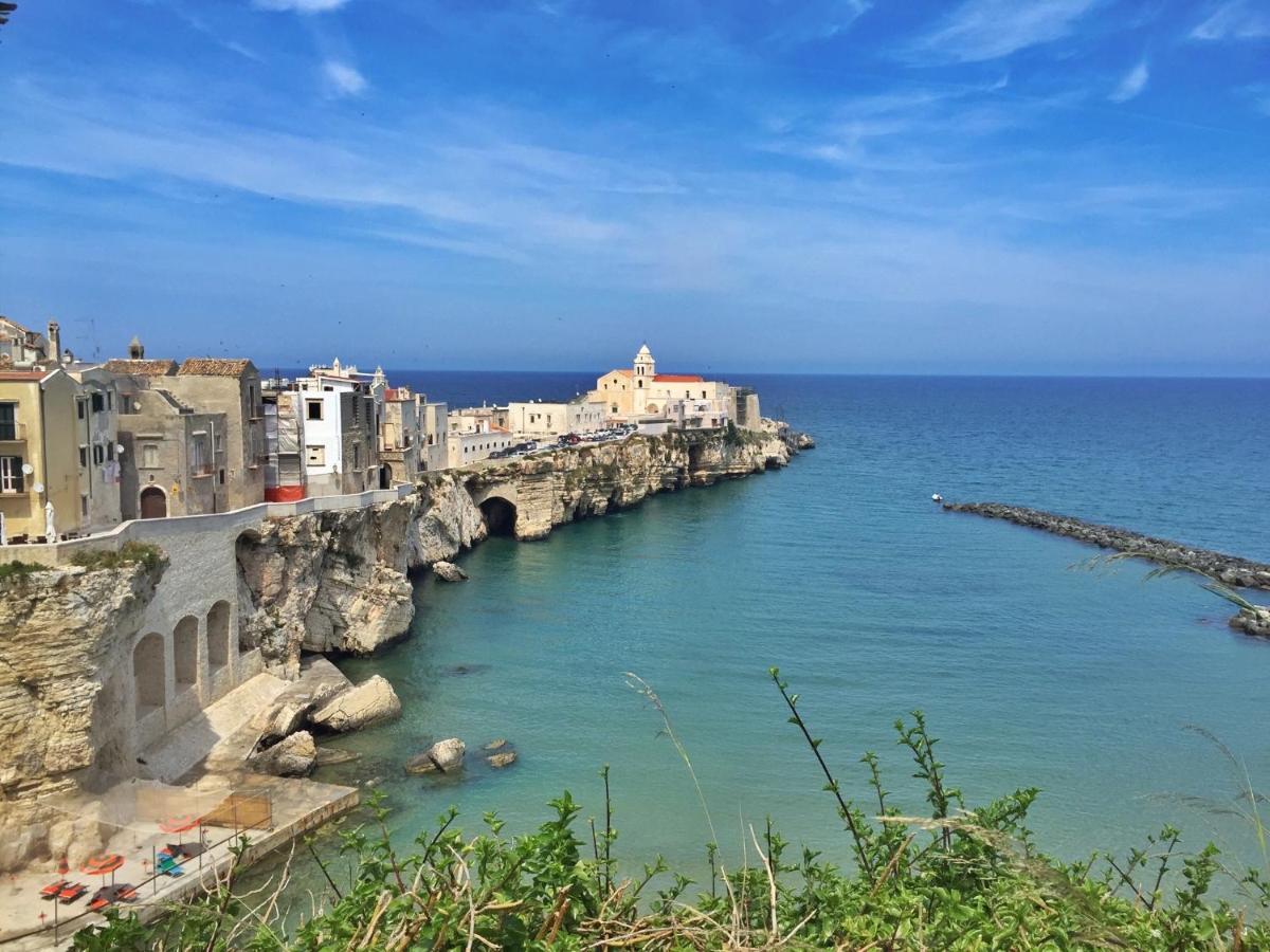 Acquasale Apartment Altomare Vieste Esterno foto