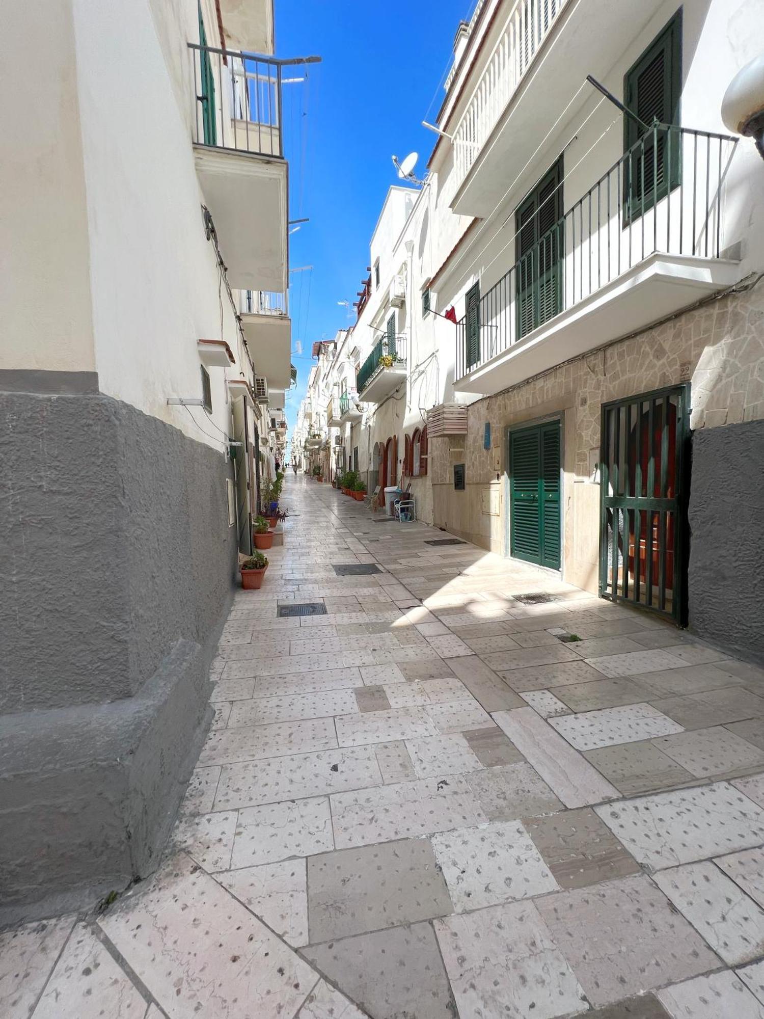 Acquasale Apartment Altomare Vieste Esterno foto